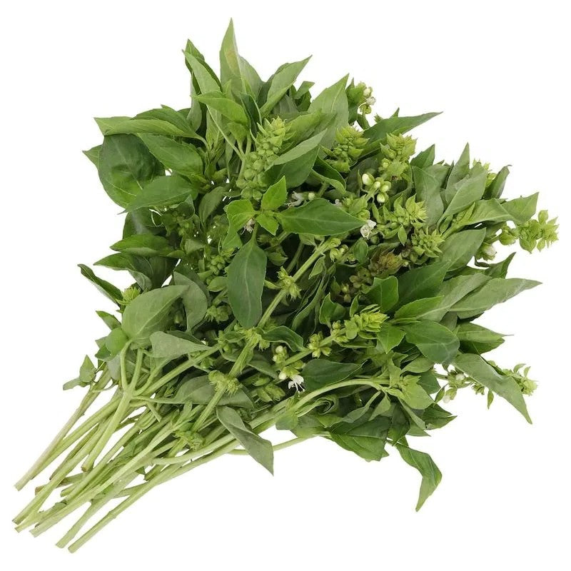 ALBAHACA ROLLO 40GR