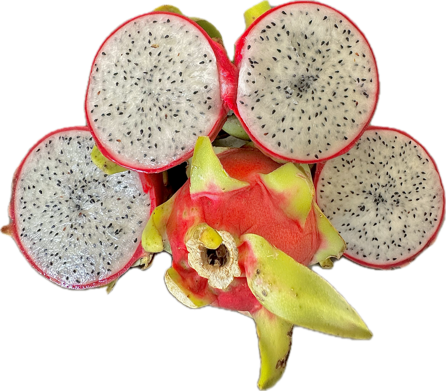 PITAHAYA por KG