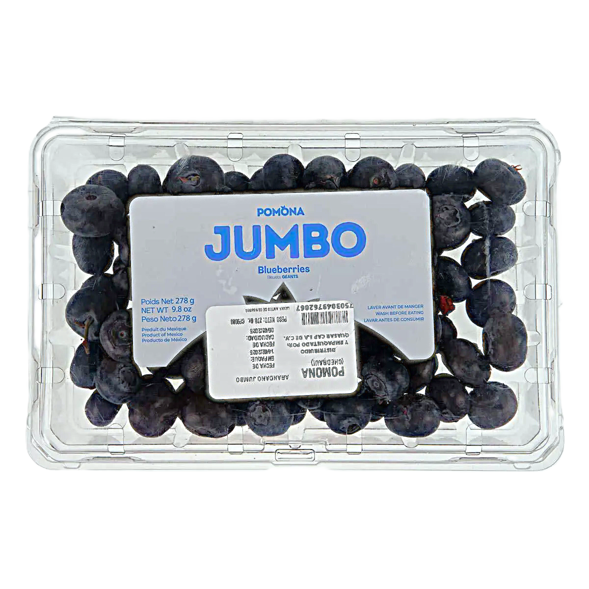 BLUEBERRY JUMBO CONT. 276G