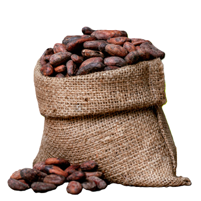 CACAO EN GRANO VENDIDO por KG