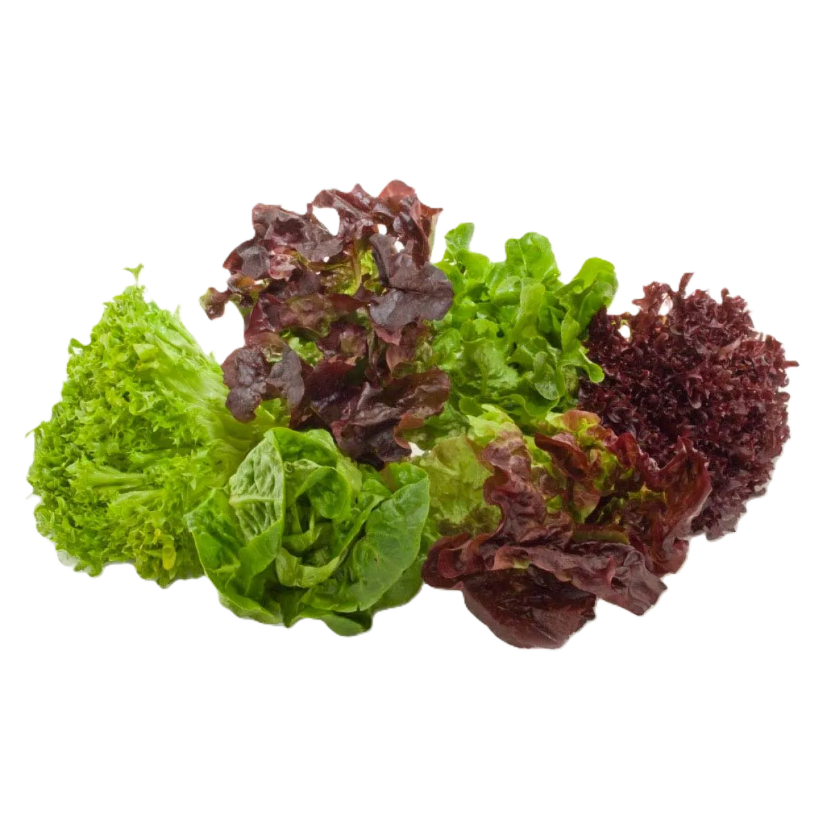 ENSALADA MIXTA ORGÁNICA CONT. 180GR