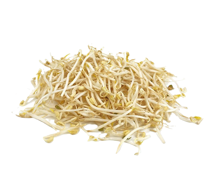 GERMINADO DE SOYA CONT. 300GR