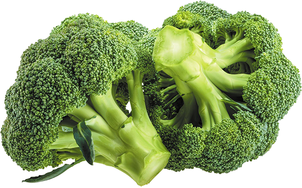 BROCOLI por KG