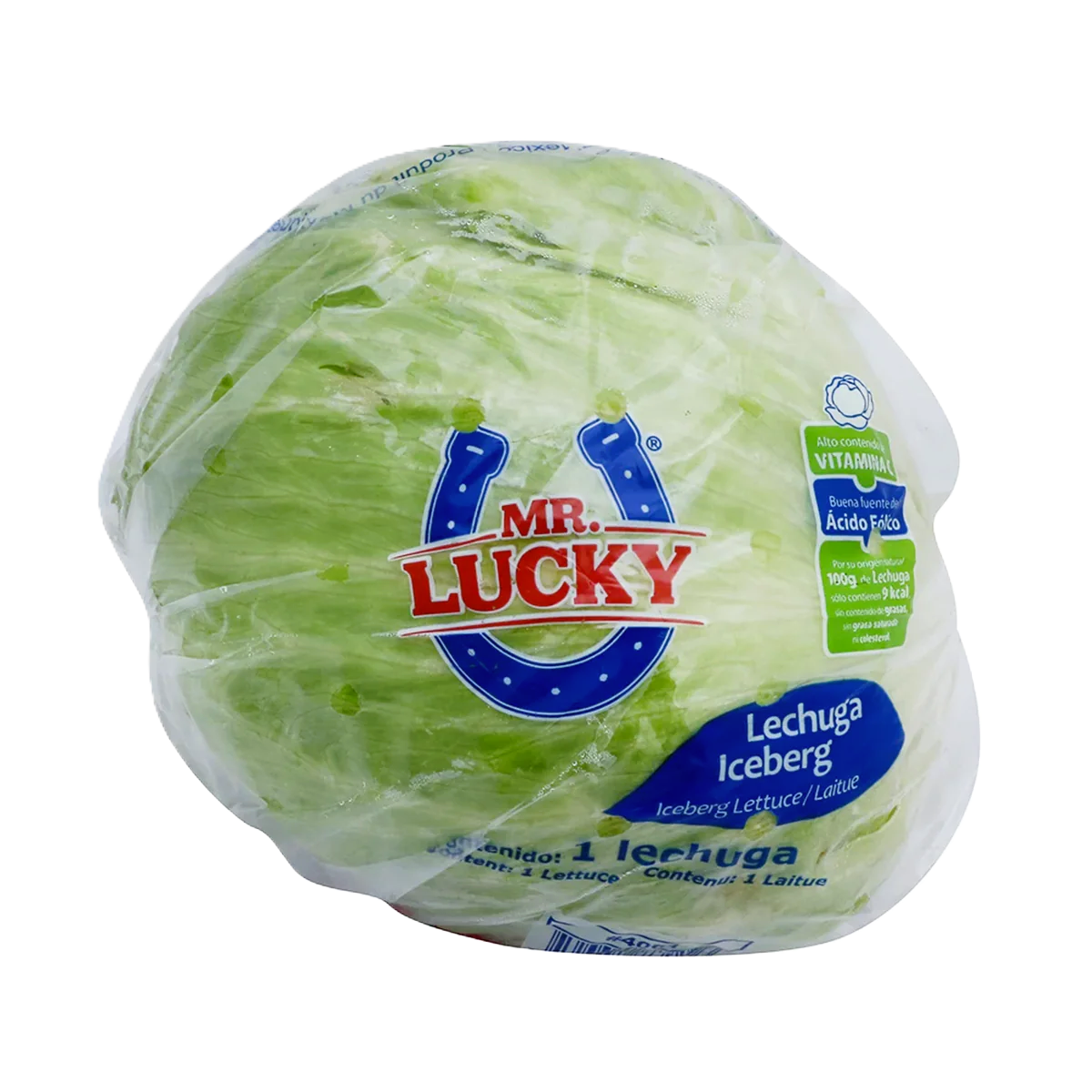 LECHUGA ROMANJA MR. LUCKY por PZA