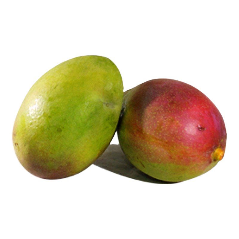 MANGO PARAISO por KG