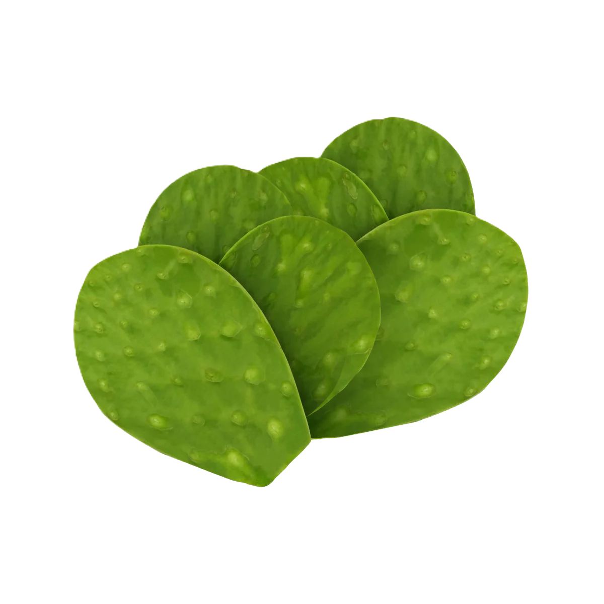 NOPAL por KG