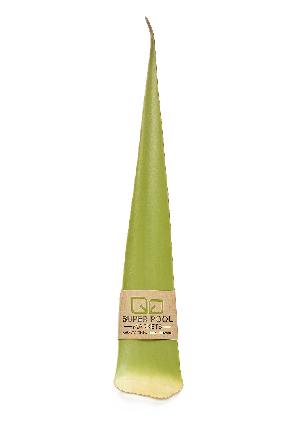 SABILA ALOE VERA por PZA
