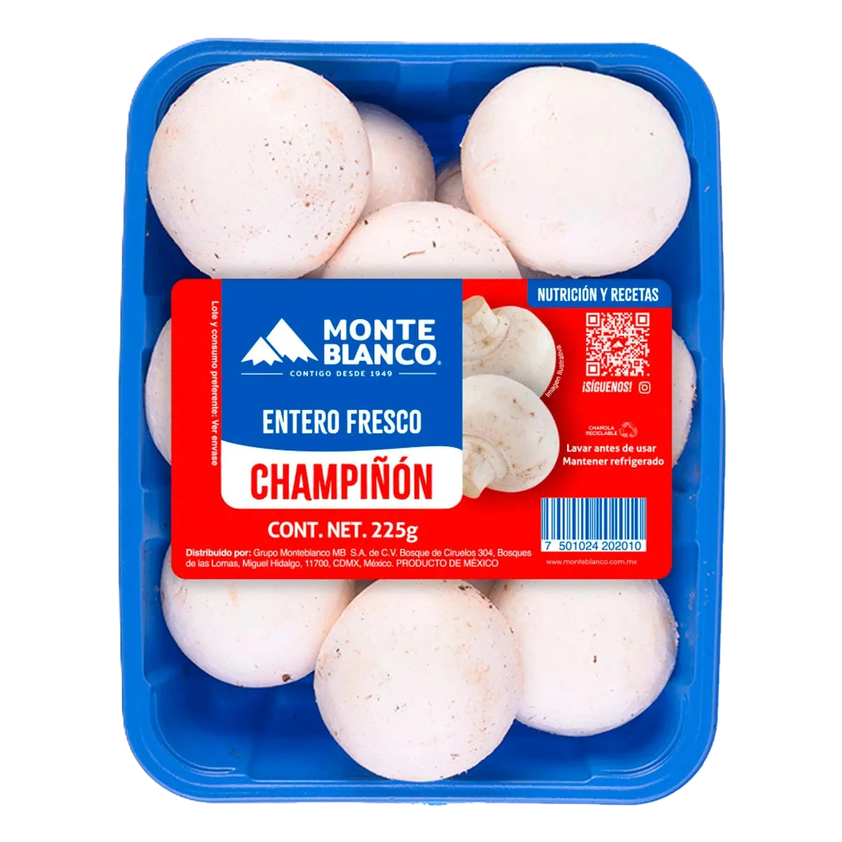 CHAMPIÑONES MONTE BLANCO DOMO