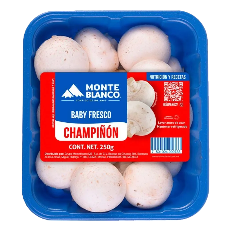 CHAMPIÑONES MONTE BLANCO DOMO