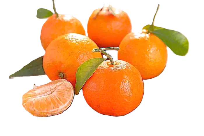 MANDARINA IMPORTADA por Kg