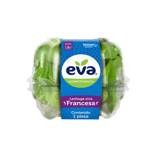 LECHUGA EVA FRANCESA VIVA CONT 1 PZA