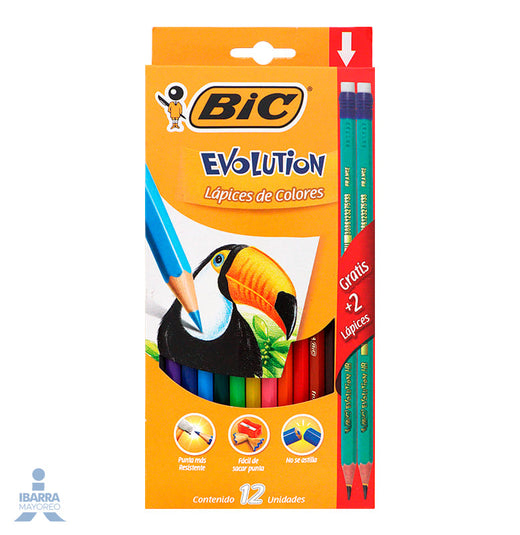 LAPICES DE COLORES EVOLUTION 12 PZ BIC