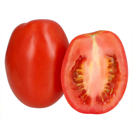 TOMATE GUAJE por KG