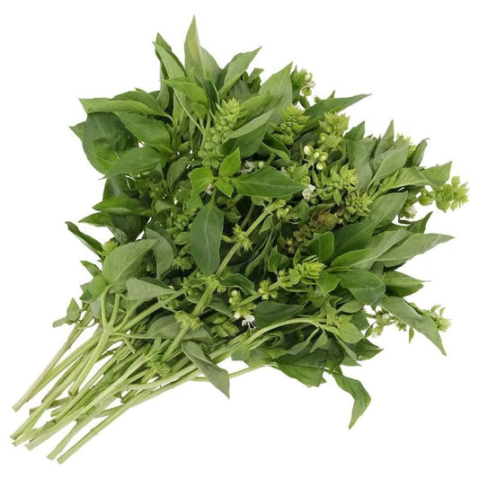 ALBAHACA ROLLO 40GR