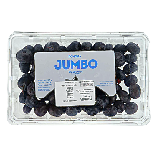BLUEBERRY JUMBO CONT. 276G