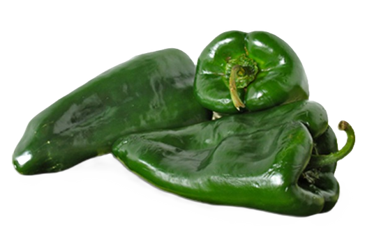 CHILE POBLANO por KG