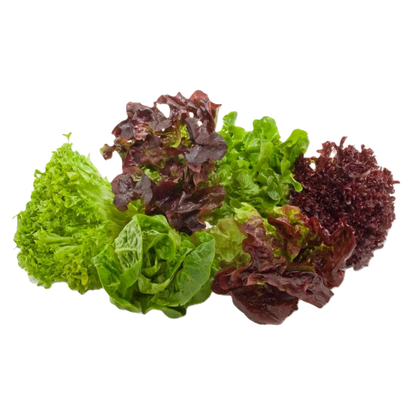 ENSALADA MIXTA ORGÁNICA CONT. 180GR