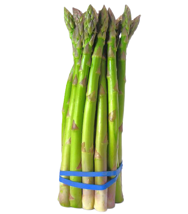 ESPARRAGOS por ROLLO CONT. 400GR