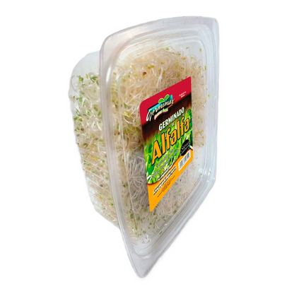 GERMINADO DE ALFALFA CONT. 200GR