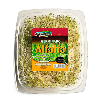 GERMINADO DE ALFALFA CONT. 200GR