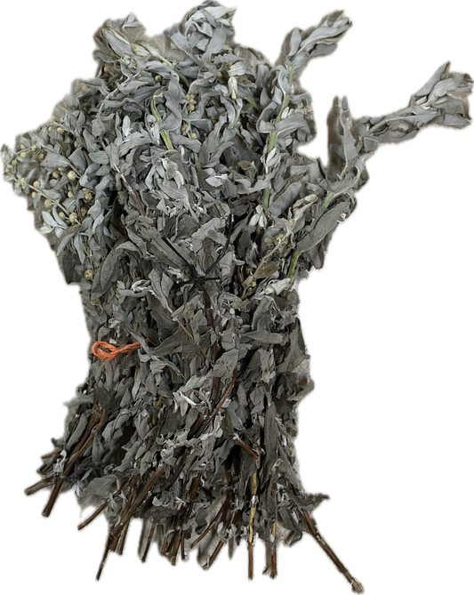 SALVIA FRESCA ROLLITO 40GR