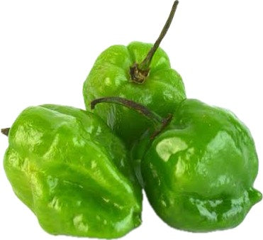 CHILE HABANERO por KG