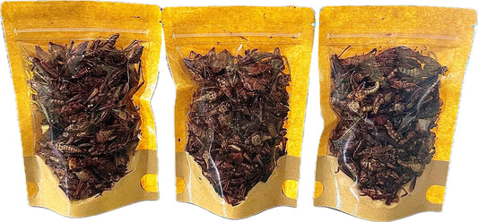 CHAPULINES EMPAQUETADOS CONT. 35G
