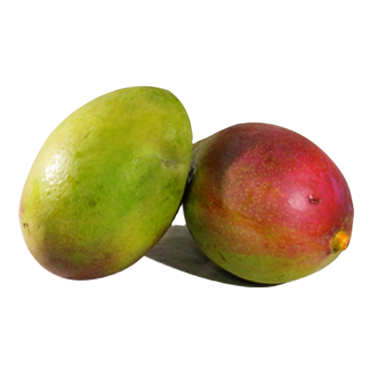 MANGO PARAISO por KG