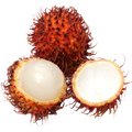 RAMBUTAN KG