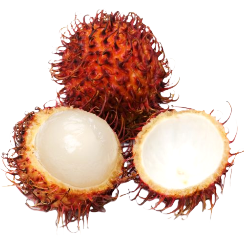 RAMBUTÁN por KG