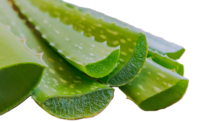 SABILA ALOE VERA por PZA
