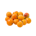 TEJOCOTE