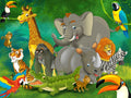 ANIMALES DE LA SELVA