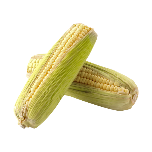 ELOTE MEXICANO por PZA