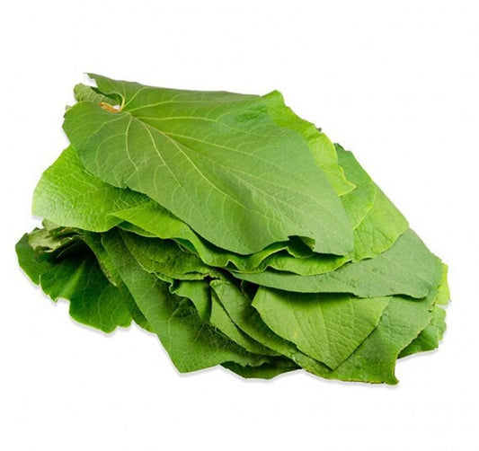 HOJA SANTA 40GR