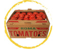 TOMATE GUAJE CAJA 12KG