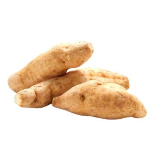 RAIZ DE CHAYOTE