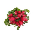 RABANO CAMBRAY 100GR