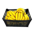 PLATANO TABASCO CAJA