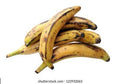 PLATANO MACHO