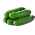 PEPINO VERDE KG