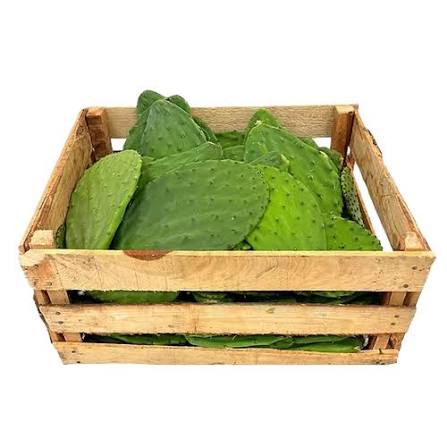 NOPAL CAJA