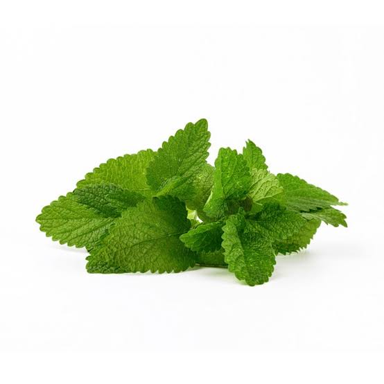 MENTA ROLLO KG