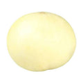 MELON VALENCINO CAJA No27.