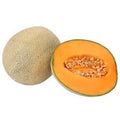 MELON CHINO PIEZA