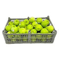 MANZANA GRAN SMITH CAJA
