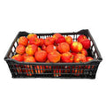 MANZANA GALA CAJA