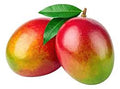 MANGO TOMY KG