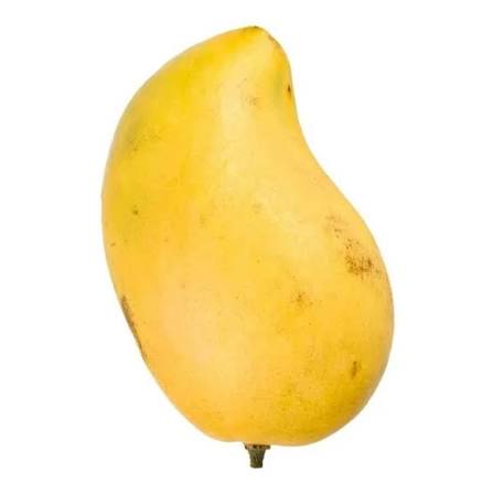 MANGO LOCAL KG