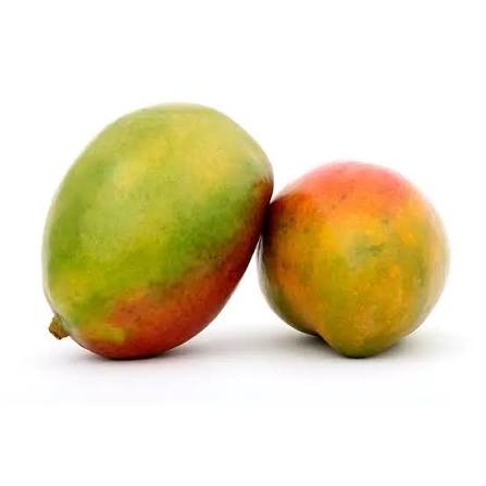 MANGO HEIDY KG